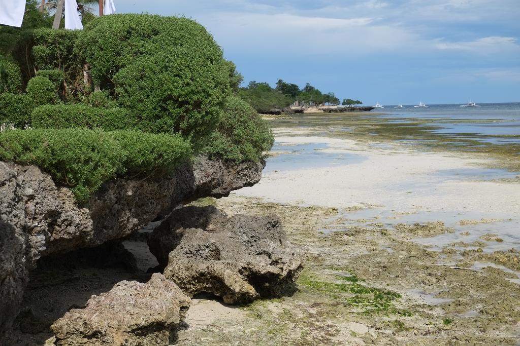 Dive Thru Resort Panglao Exterior foto
