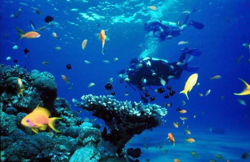 Dive Thru Resort Panglao Exterior foto